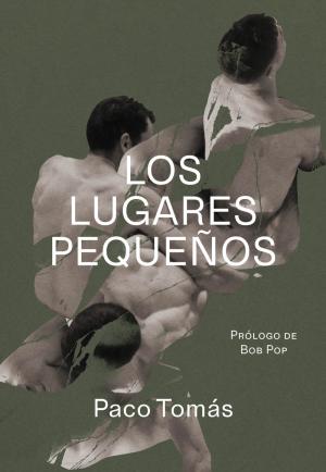 Imagen de cubierta: LOS LUGARES PEQUEÑOS