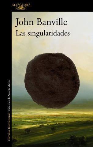 Imagen de cubierta: LAS SINGULARIDADES