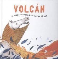 Imagen de cubierta: VOLCAN