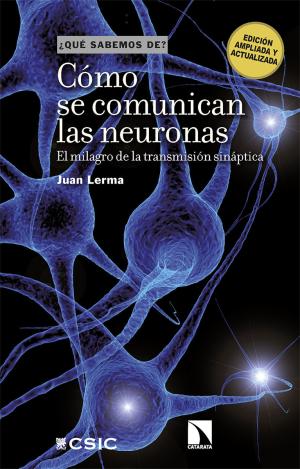 Imagen de cubierta: COMO SE COMUNICAN LAS NEURONAS