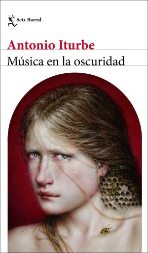 Imagen de cubierta: MUSICA Y OSCURIDAD