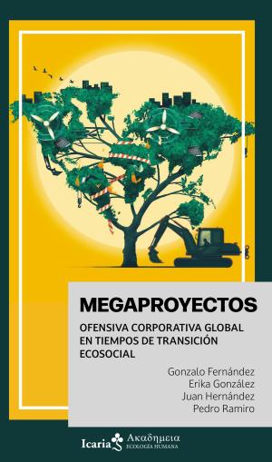 Imagen de cubierta: MEGAPROYECTOS