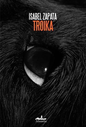 Imagen de cubierta: TROIKA