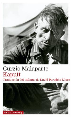 Imagen de cubierta: KAPUT