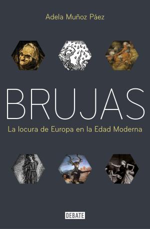 Imagen de cubierta: BRUJAS