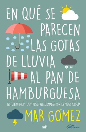 Imagen de cubierta: EN QUÉ SE PARECEN LAS GOTAS DE LLUVIA AL PAN DE HAMBURGUESA