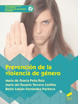 Imagen de cubierta: GS-PREVENCIÓN DE LA VIOLENCIA DE GÉNERO- PROMOCIÓN DE IGUALDAD DE GÉNERO