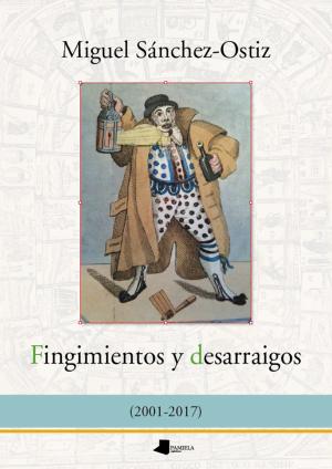 Imagen de cubierta: FINGIMIENTOS Y DESARRAIGOS