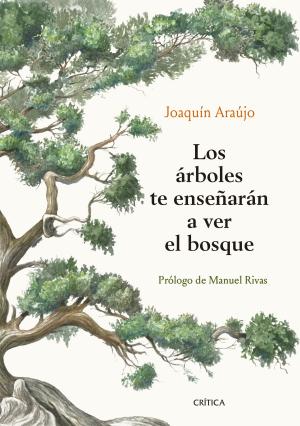 Imagen de cubierta: LOS ÁRBOLES TE ENSEÑARÁN A VER EL BOSQUE