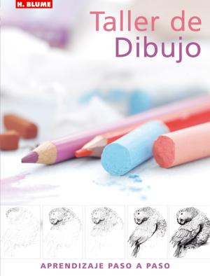 Imagen de cubierta: TALLER DE DIBUJO