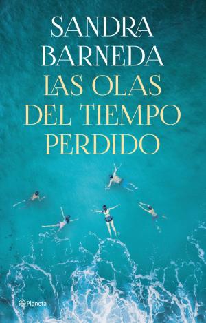 LAS OLAS DEL TIEMPO PERDIDO