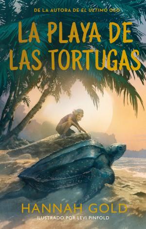LA PLAYA DE LAS TORTUGAS