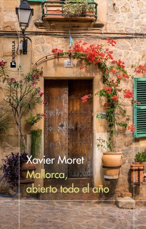 MALLORCA, ABIERTO TODO EL AÑO