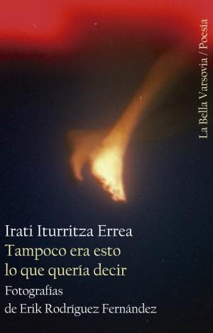 TAMPOCO ERA ESTO LO QUE QUERÍA DECIR