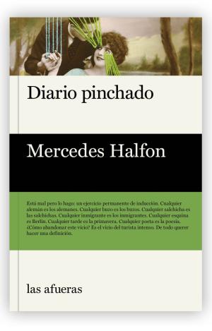 DIARIO PINCHADO