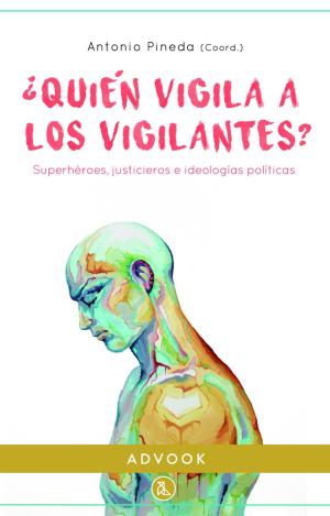 QUIÉN VIGILA A LOS VIGILANTES
