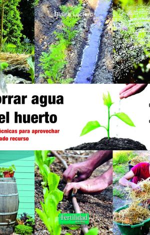 AHORRAR AGUA EN EL HUERTO