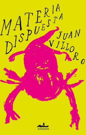 MATERIA DISPUESTA