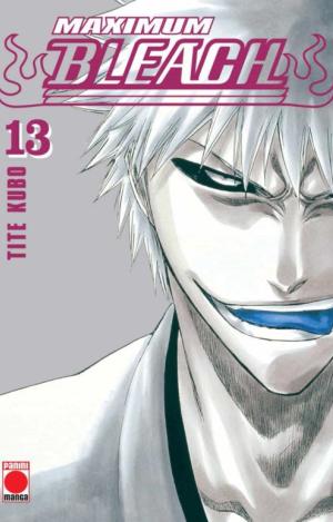 BLEACH MAX
