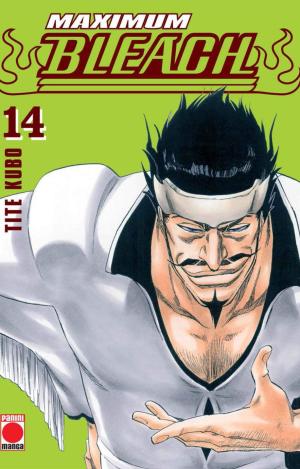 BLEACH MAXIMUM 14