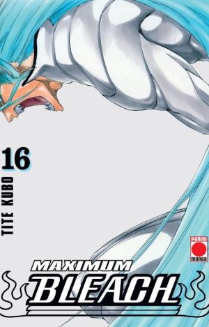 BLEACH MAX