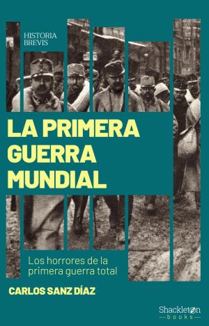 LA PRIMERA GUERRA MUNDIAL