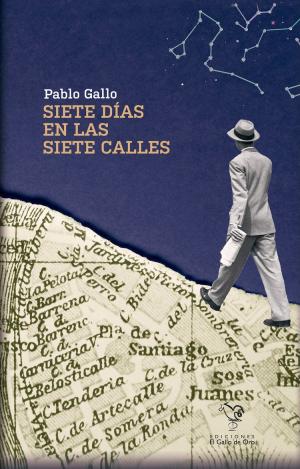 SIETE DIAS EN LAS SIETE CALLES