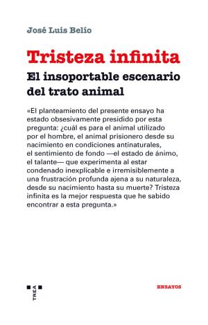 TRISTEZA INFINITA