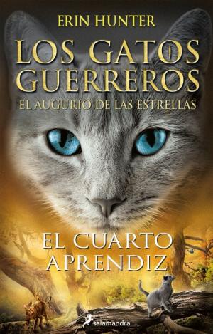 EL CUARTO APRENDIZ
