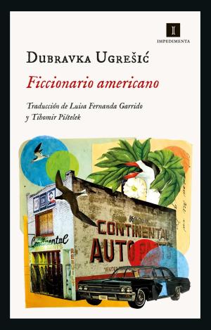 FICCIONARIO AMERICANO