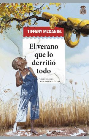 EL VERANO QUE LO DERRITIÓ TODO