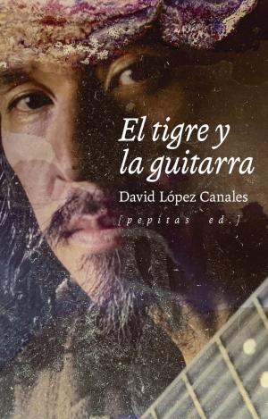 EL TIGRE Y LA GUITARRA