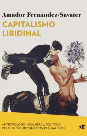 CAPITALISMO LIBIDINAL