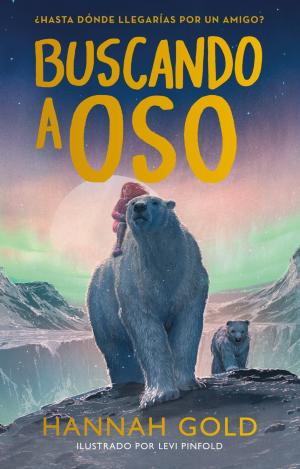 BUSCANDO A OSO