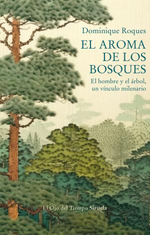 AROMA DE LOS BOSQUES, EL