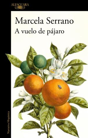 A VUELO DE PAJARO