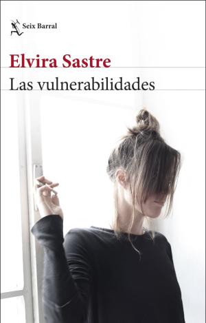 LAS VULNERABILIDADES