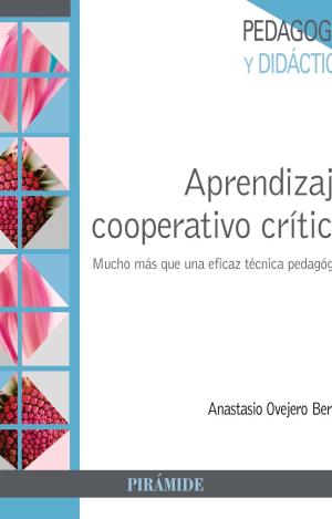 APRENDIZAJE COOPERATIVO CRITICO