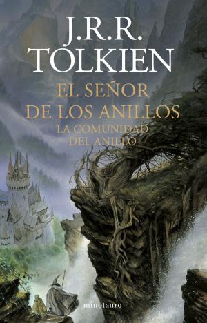 EL SEÑOR DE LOS ANILLOS Nº 01/03 LA COMUNIDAD DEL ANILLO (NE)