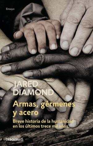 ARMAS GERMENES Y ACERO