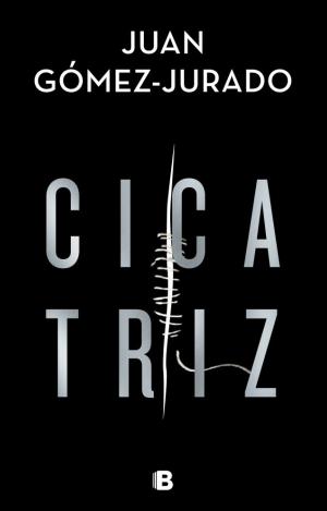 CICATRIZ