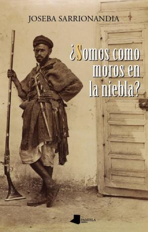 SOMOS COMO MOROS EN LA NIEBLA?