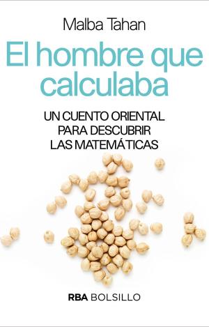 EL HOMBRE QUE CALCULABA