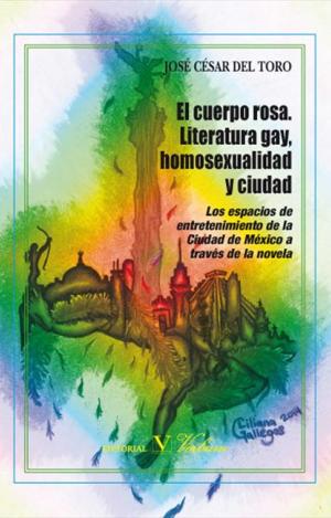 CUERPO ROSA LITERATURA GAY HOMOSEXUALIDAD Y CIUDAD