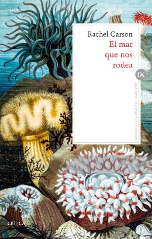 EL MAR QUE NOS RODEA