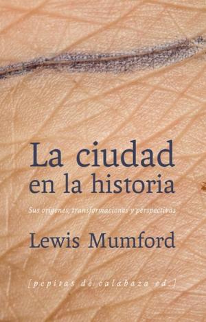 LA CIUDAD EN LA HISTORIA
