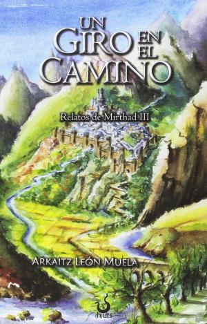 UN GIRO EN EL CAMINO