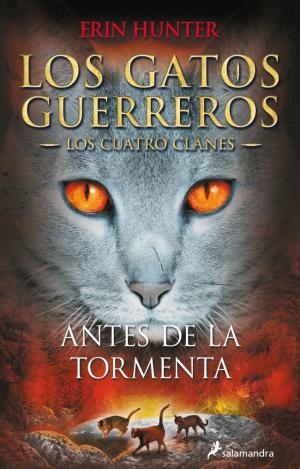 ANTES DE LA TO(GATOS GUERREROS-CUATRO 4)