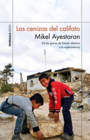 LAS CENIZAS DEL CALIFATO