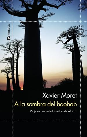 A LA SOMBRA DEL BAOBAB